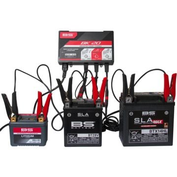 BS Battery BK20 6V / 12V 3x2A cargador de batería inteligente